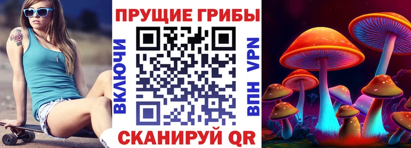 гидра как зайти  Черемхово  Галлюциногенные грибы мухоморы 